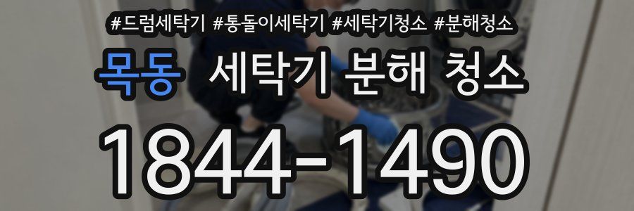목동 세탁기 분해 청소