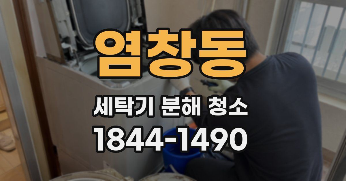 염창동 세탁기 분해 청소