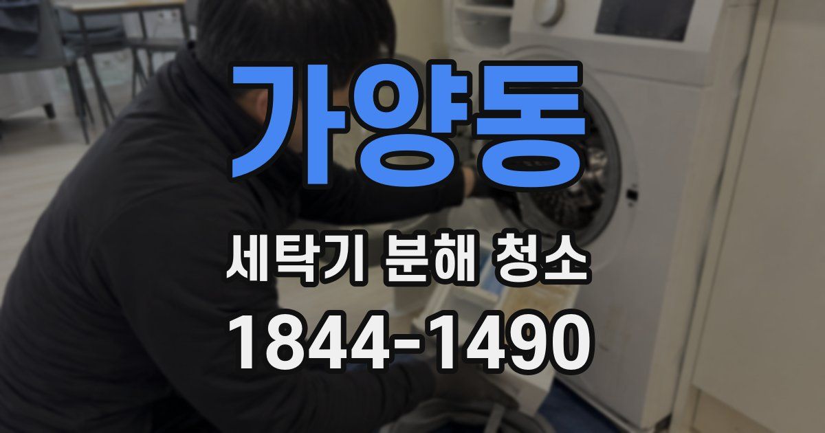 가양동 세탁기 분해 청소