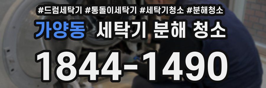 가양동 세탁기 분해 청소