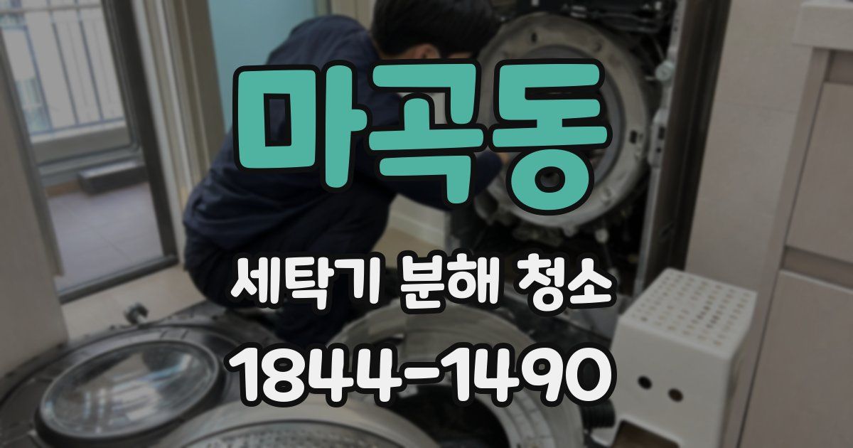 마곡동 세탁기 분해 청소