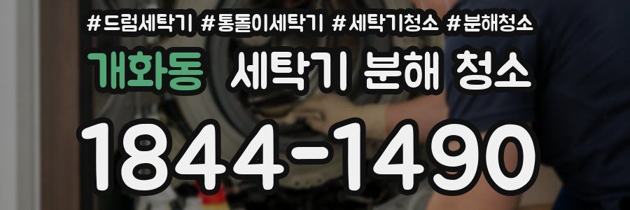 개화동 세탁기 분해 청소