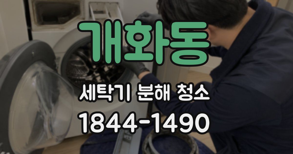 개화동 세탁기 분해 청소