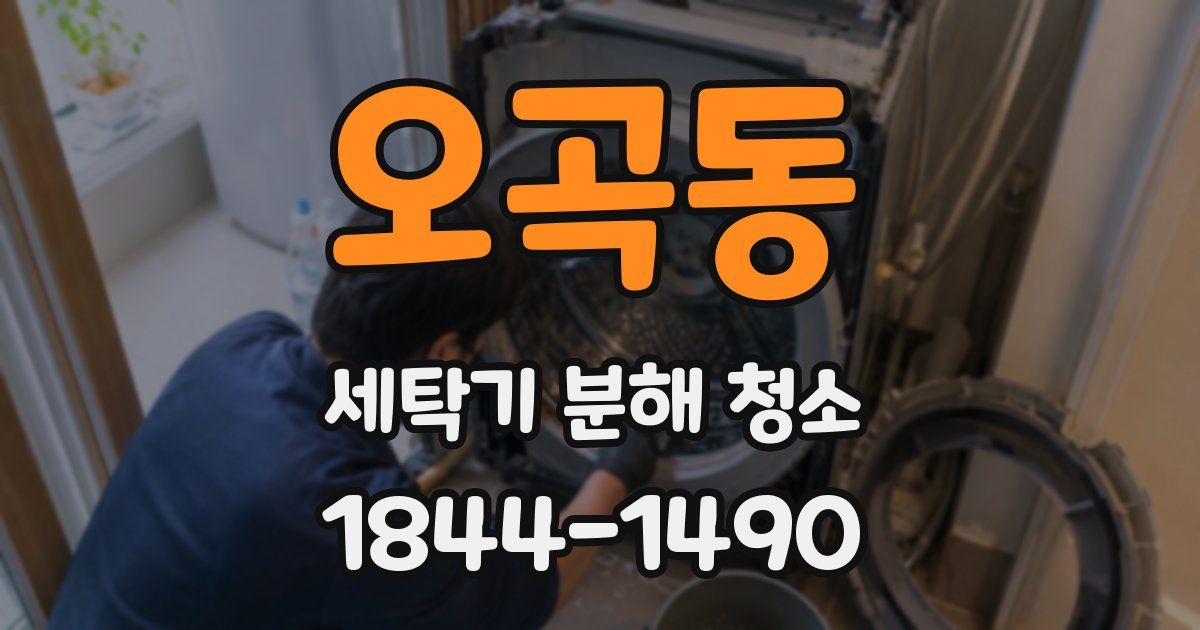 오곡동 세탁기 분해 청소