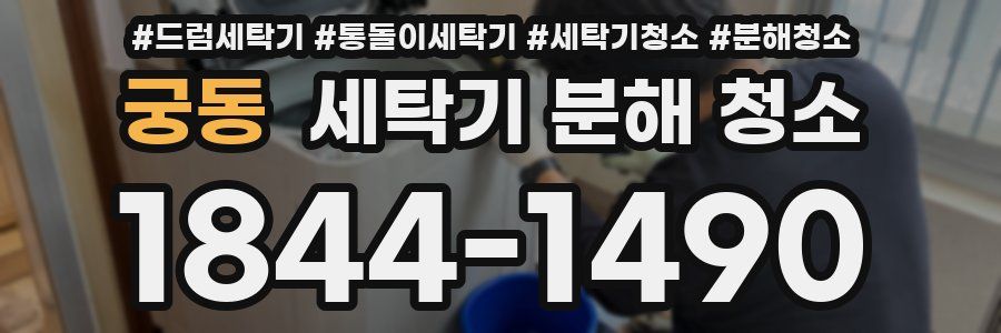 궁동 세탁기 분해 청소