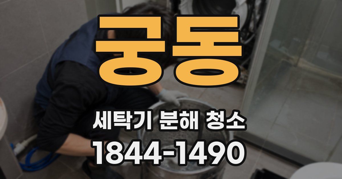 궁동 세탁기 분해 청소