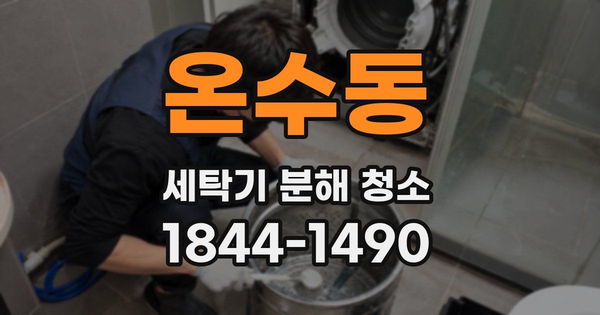 온수동 세탁기 분해 청소