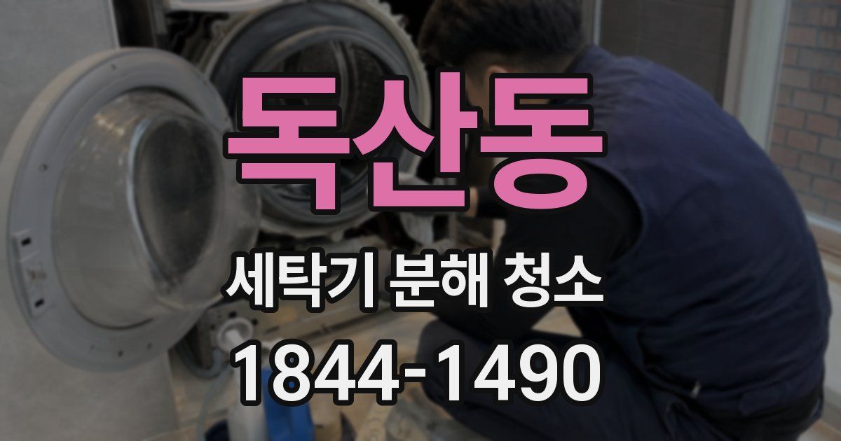 독산동 세탁기 분해 청소