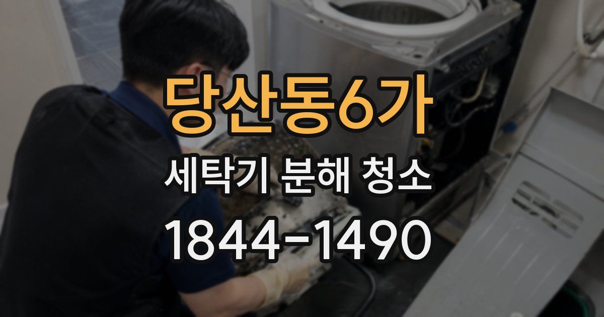당산동6가 세탁기 분해 청소