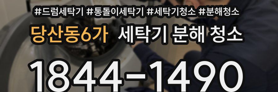 당산동6가 세탁기 분해 청소