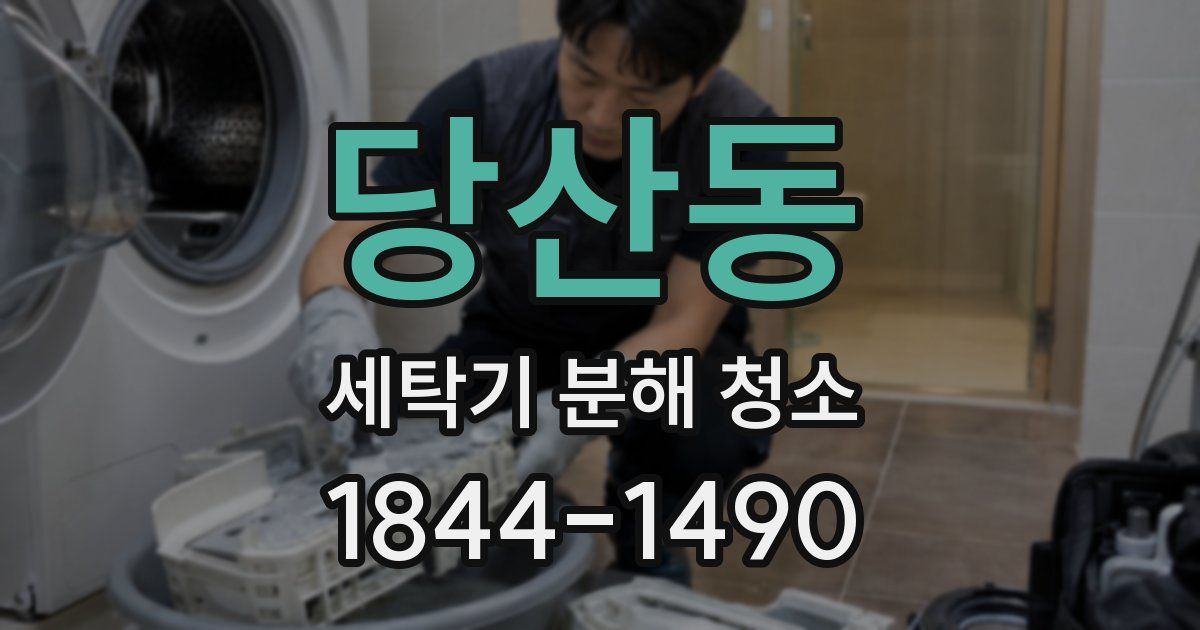 당산동 세탁기 분해 청소