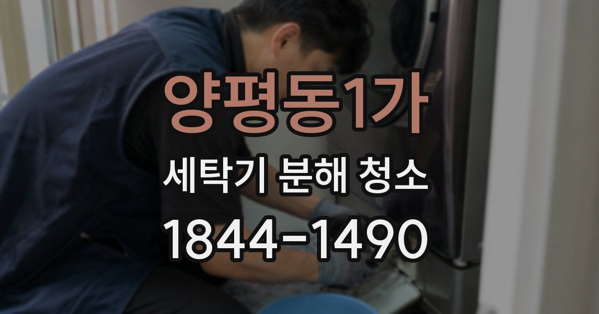 양평동1가 세탁기 분해 청소
