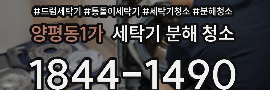 양평동1가 세탁기 분해 청소
