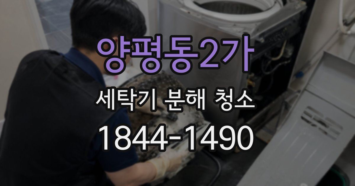 양평동2가 세탁기 분해 청소