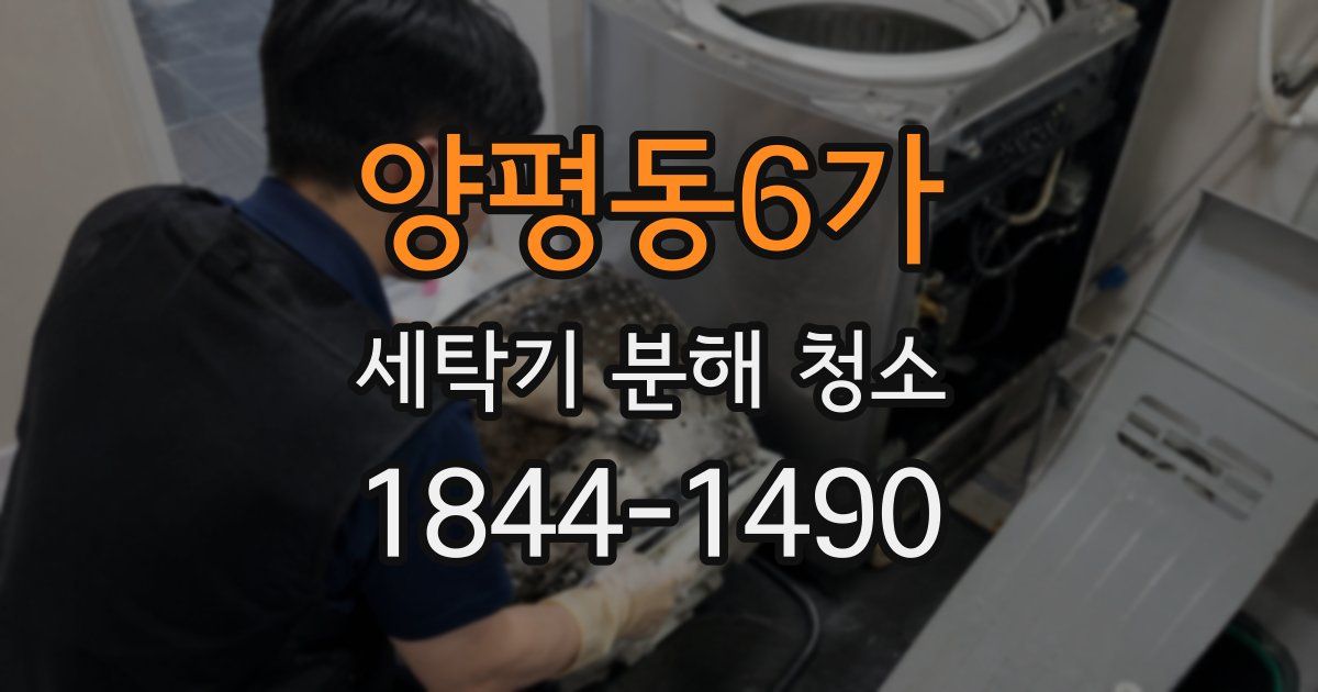 양평동6가 세탁기 분해 청소