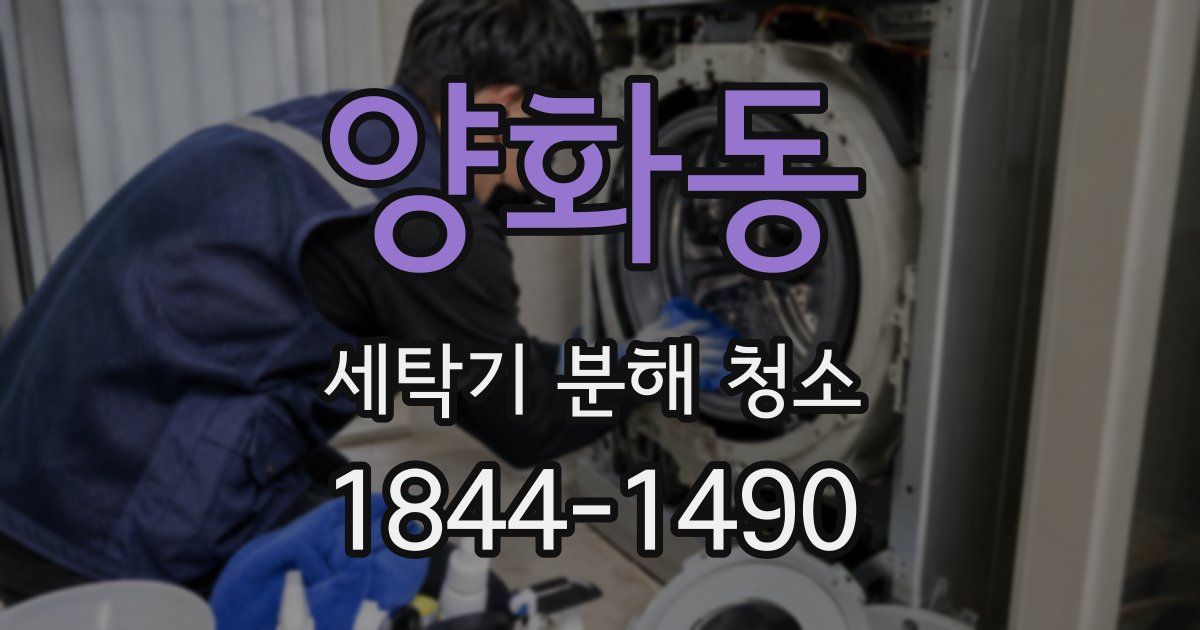 양화동 세탁기 분해 청소