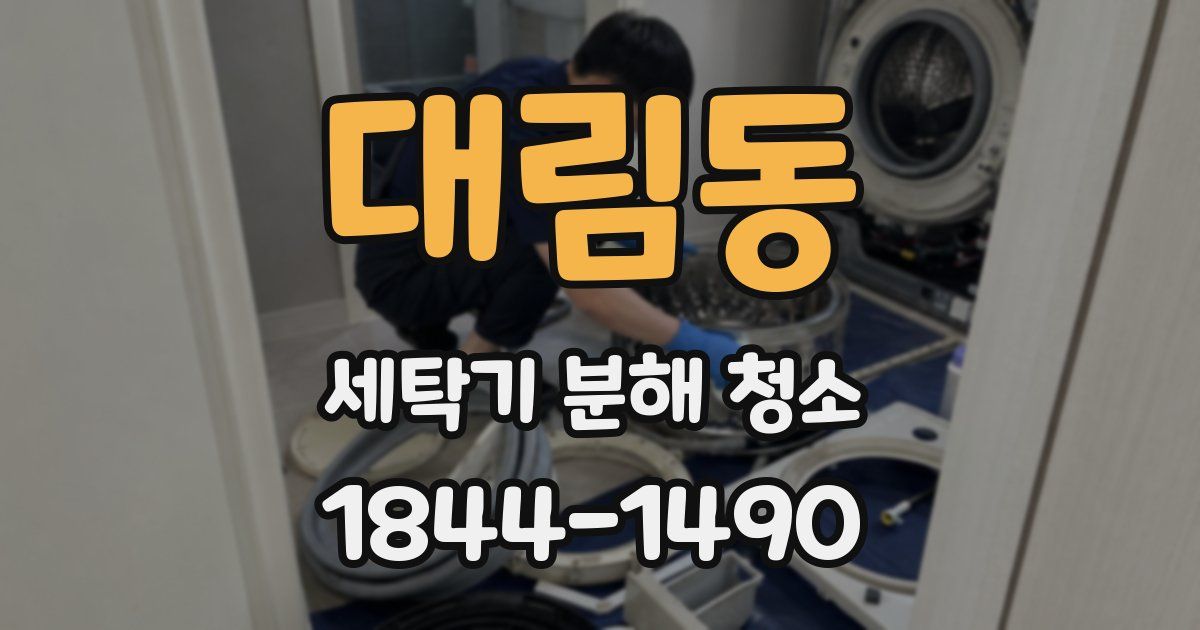 대림동 세탁기 분해 청소