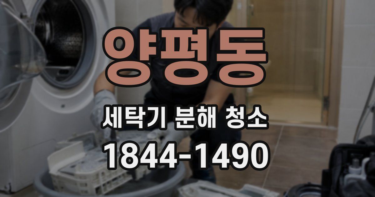 양평동 세탁기 분해 청소