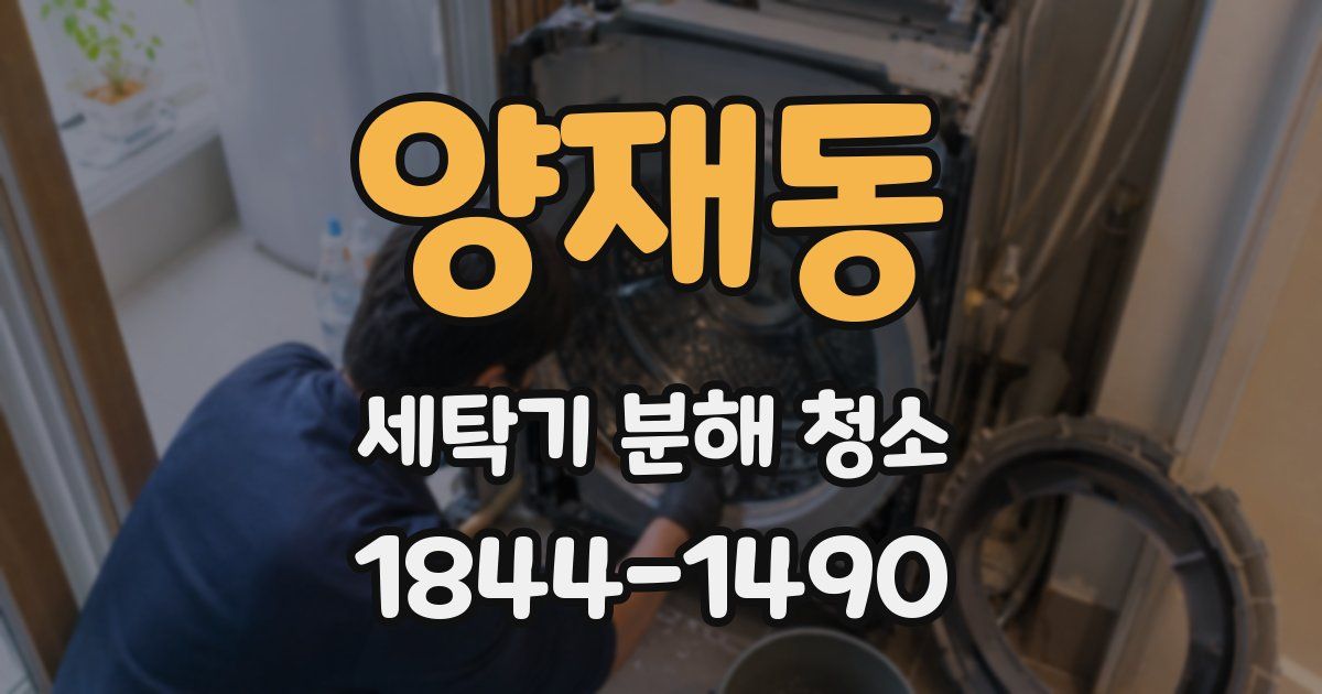 양재동 세탁기 분해 청소