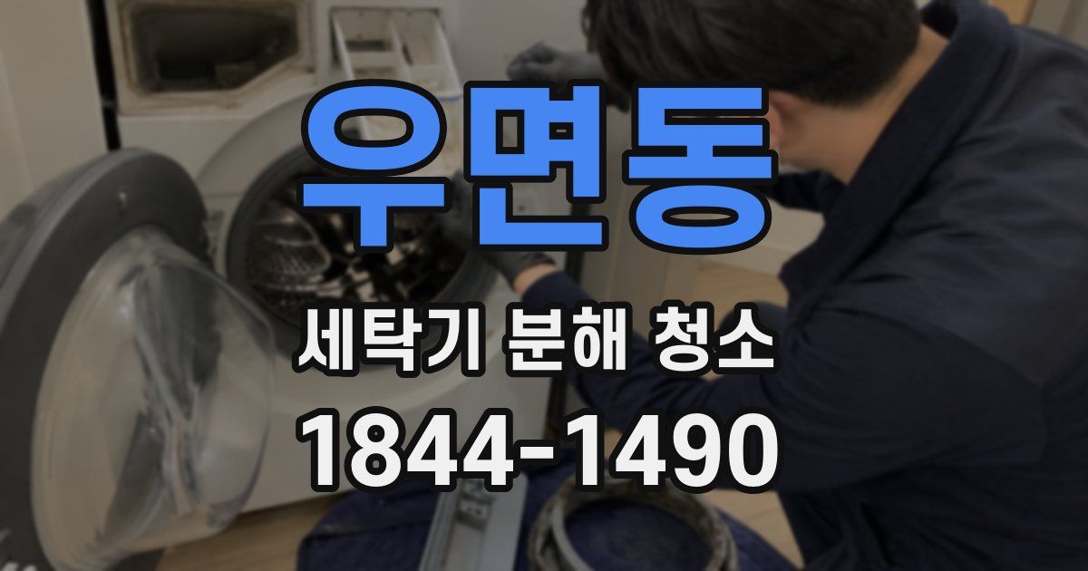 우면동 세탁기 분해 청소