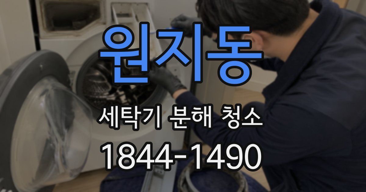 원지동 세탁기 분해 청소