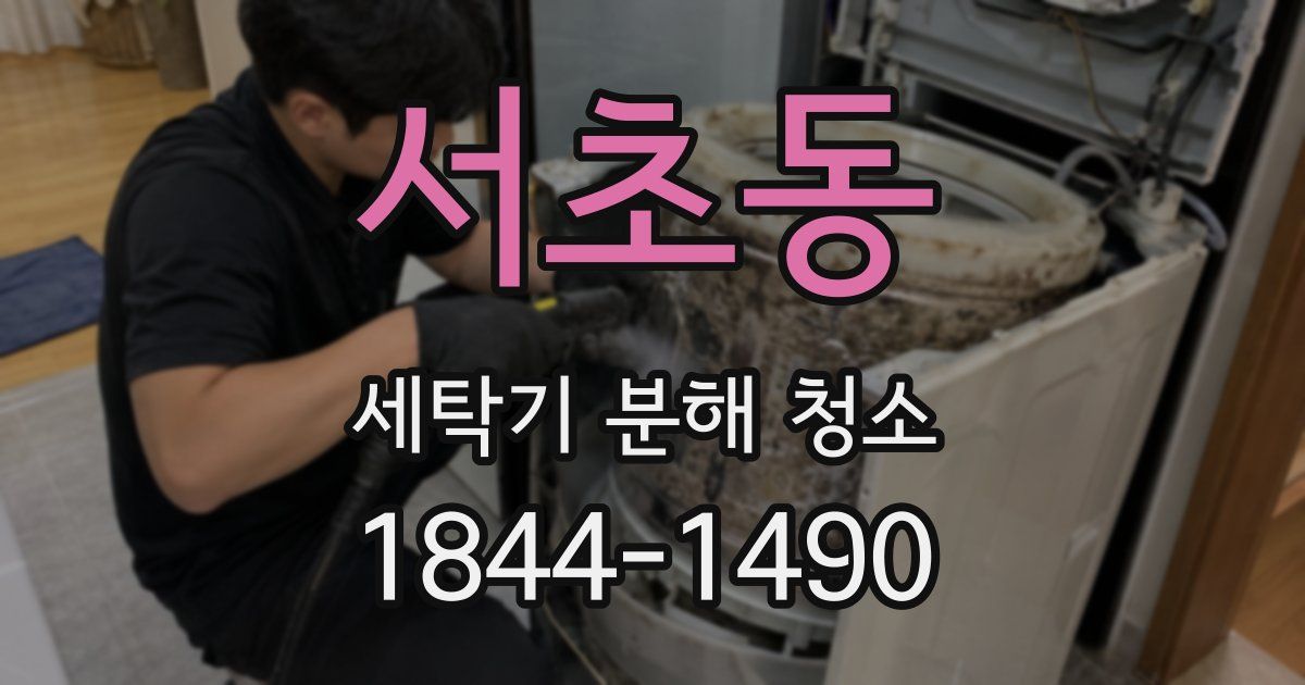 서초동 세탁기 분해 청소