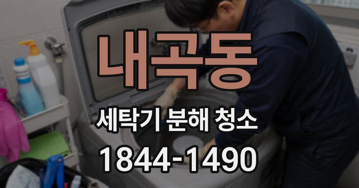 내곡동 세탁기 분해 청소