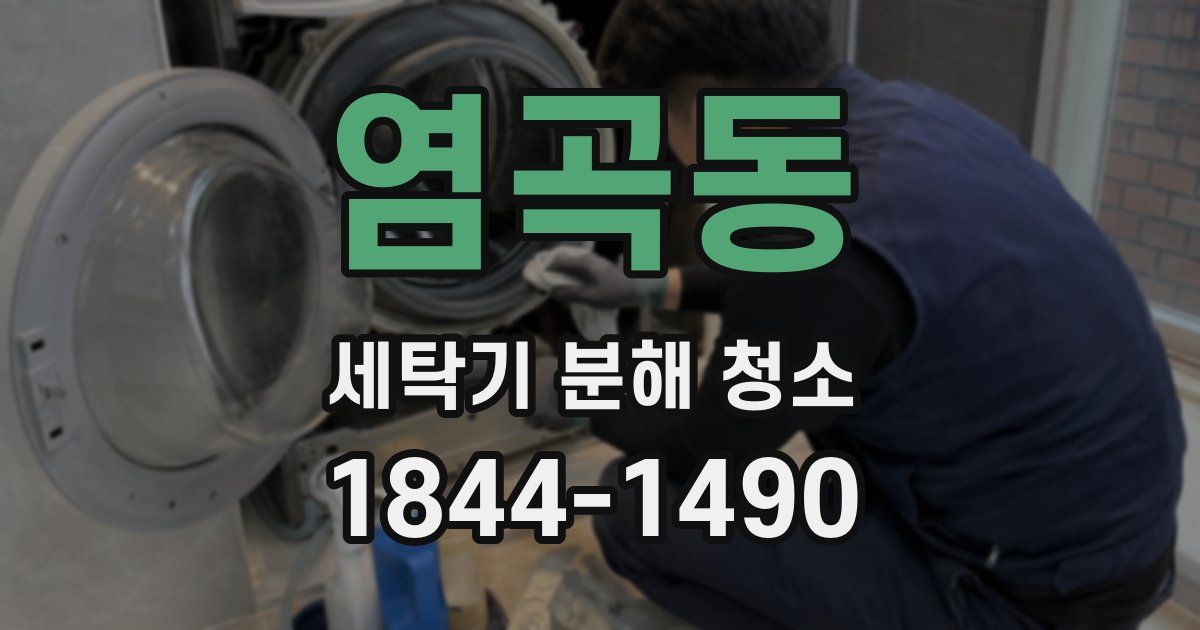 염곡동 세탁기 분해 청소