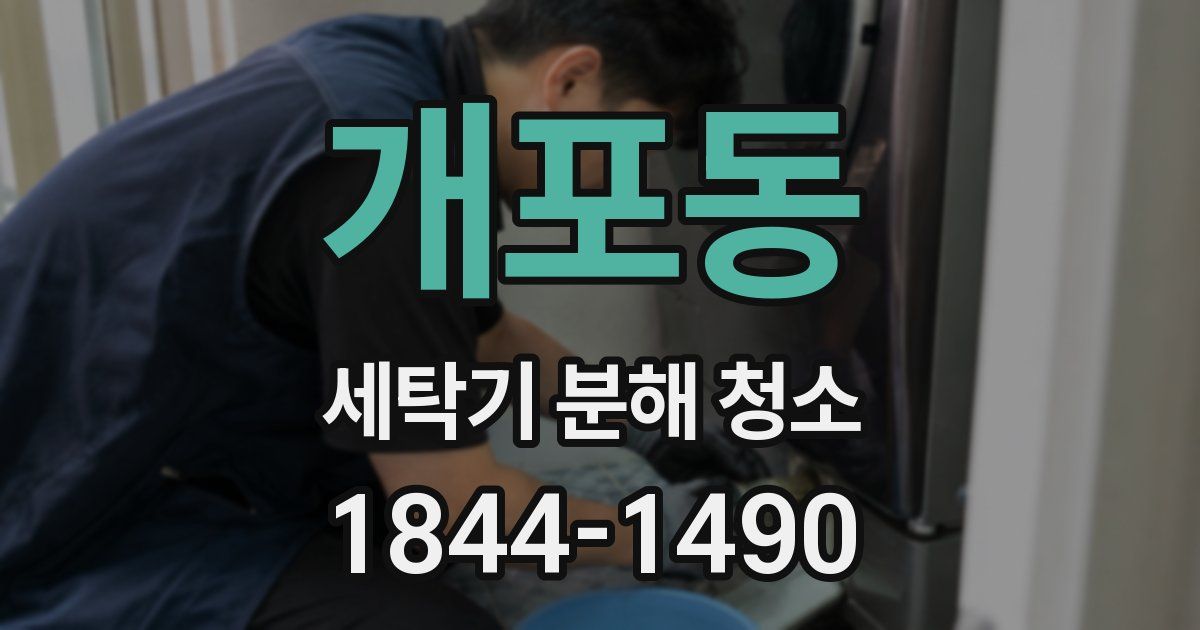 개포동 세탁기 분해 청소