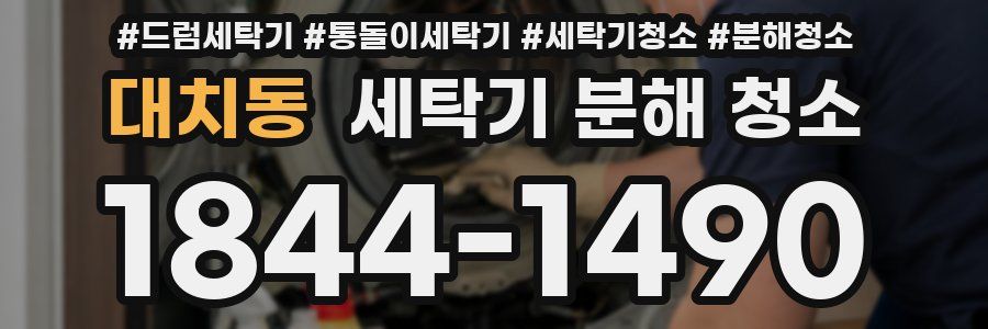 대치동 세탁기 분해 청소
