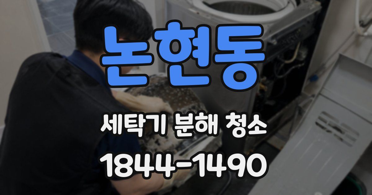 논현동 세탁기 분해 청소
