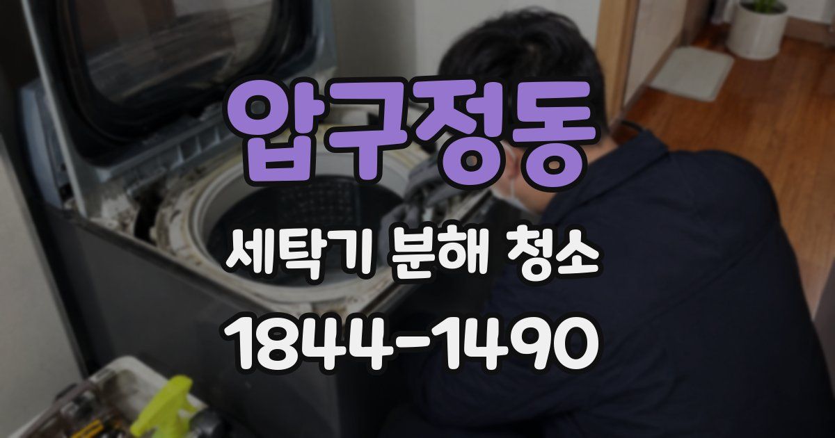 압구정동 세탁기 분해 청소