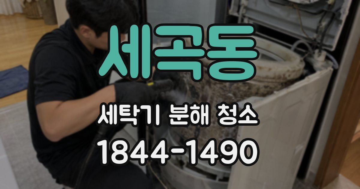 세곡동 세탁기 분해 청소