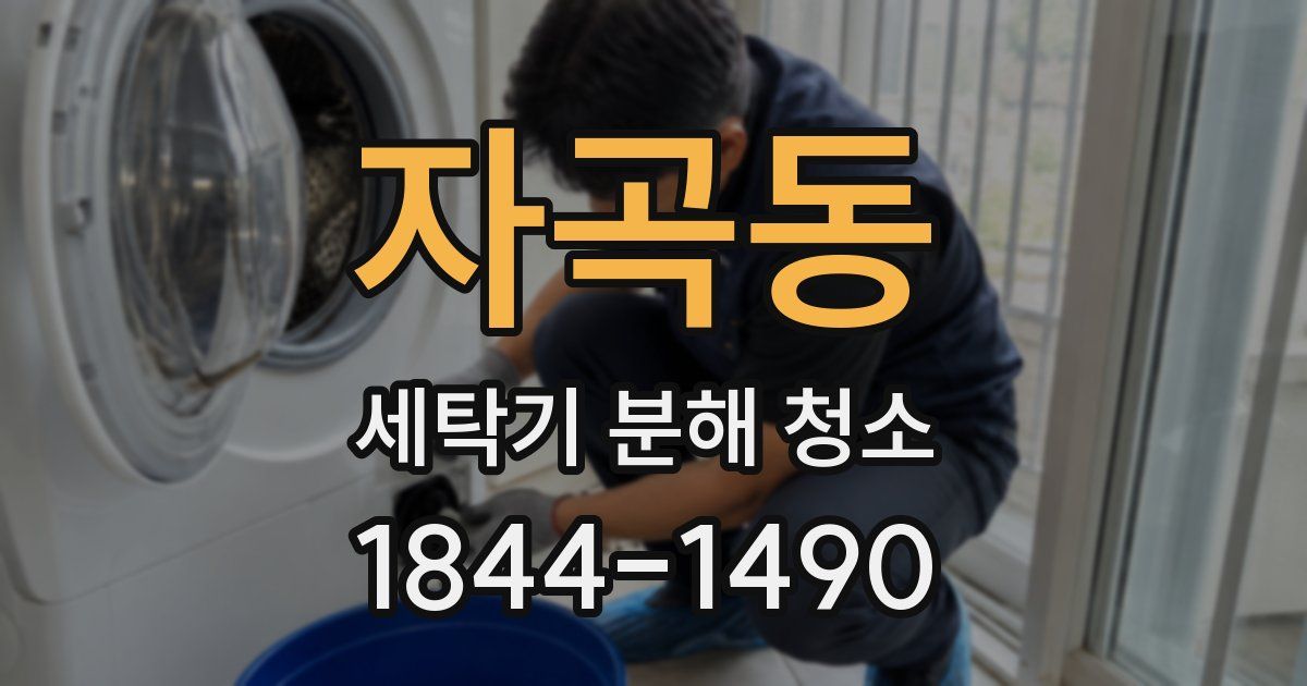 자곡동 세탁기 분해 청소