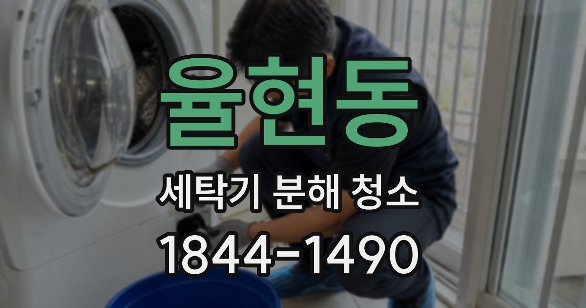 율현동 세탁기 분해 청소
