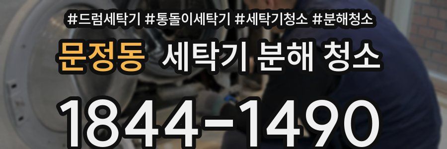 문정동 세탁기 분해 청소