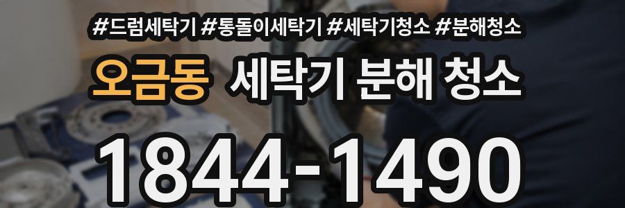 오금동 세탁기 분해 청소