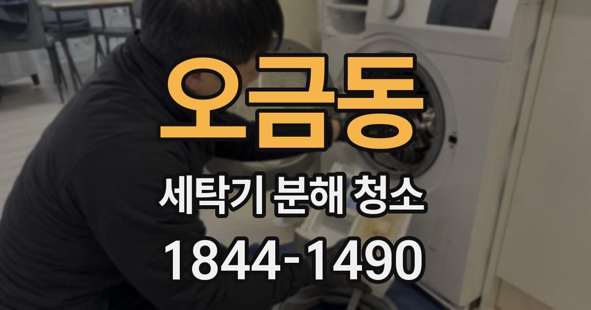 오금동 세탁기 분해 청소