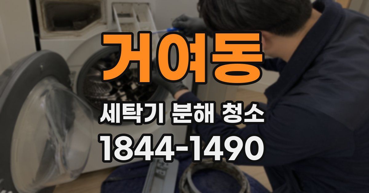 거여동 세탁기 분해 청소