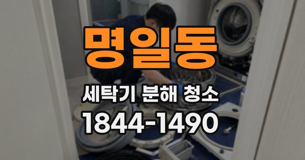 명일동 세탁기 분해 청소