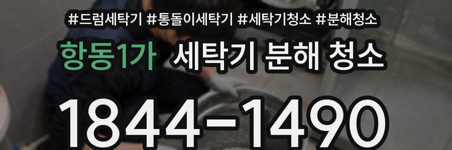 항동1가 세탁기 분해 청소