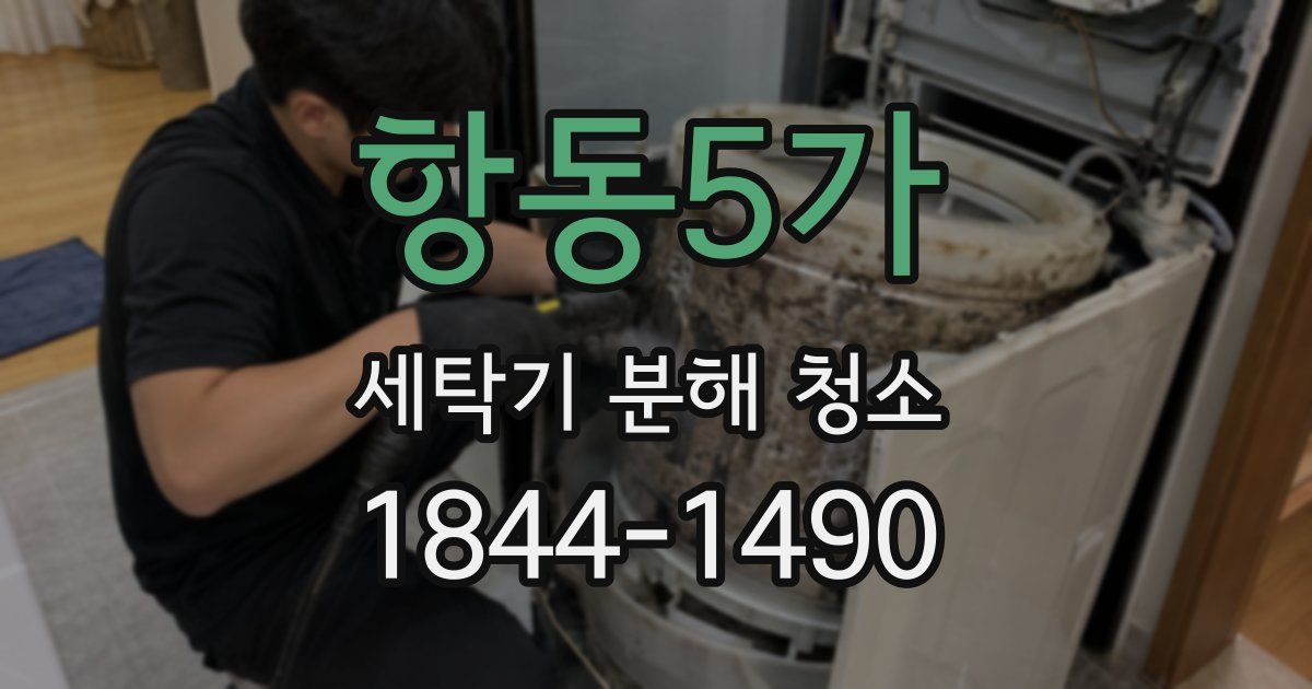 항동5가 세탁기 분해 청소