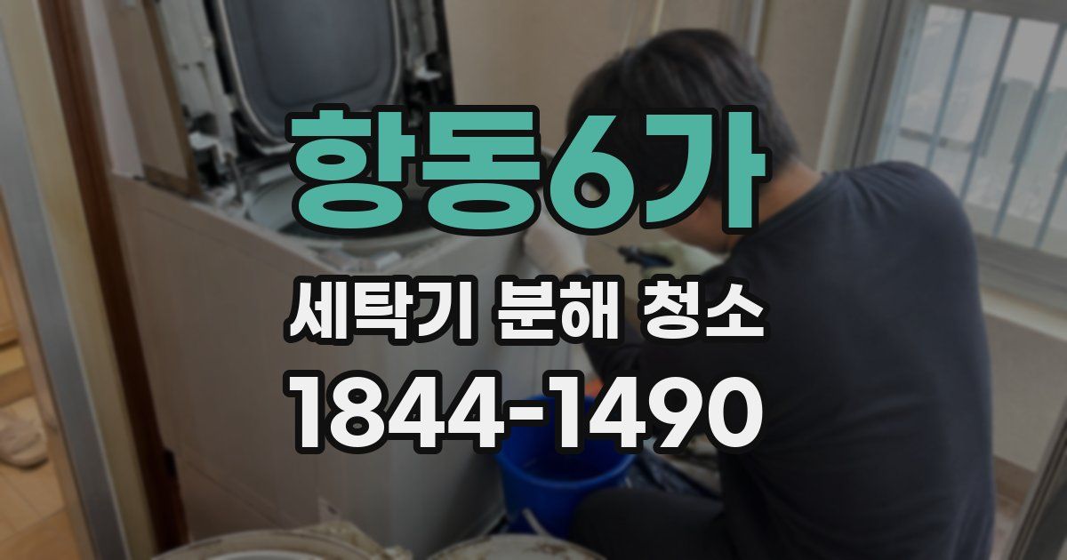 항동6가 세탁기 분해 청소