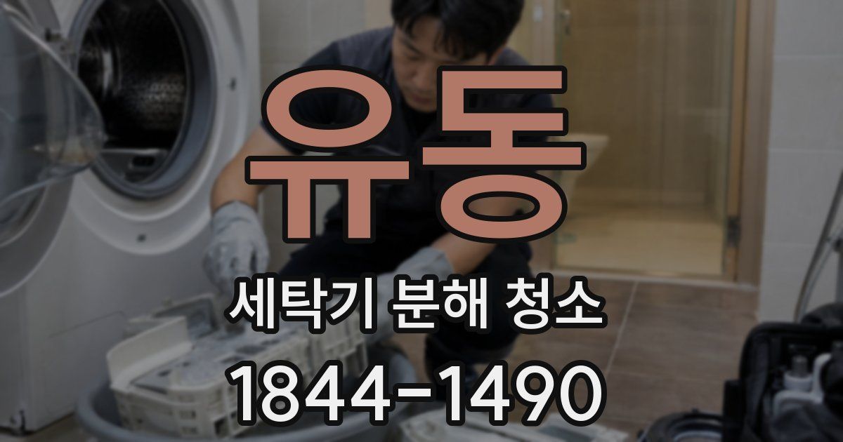 유동 세탁기 분해 청소