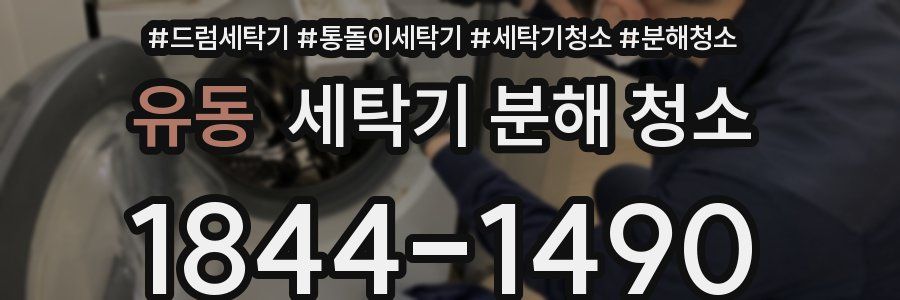 유동 세탁기 분해 청소
