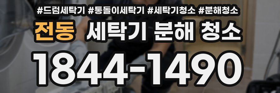 전동 세탁기 분해 청소