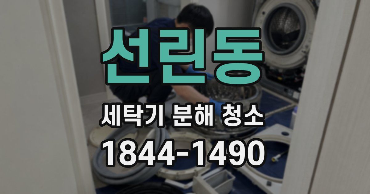 선린동 세탁기 분해 청소