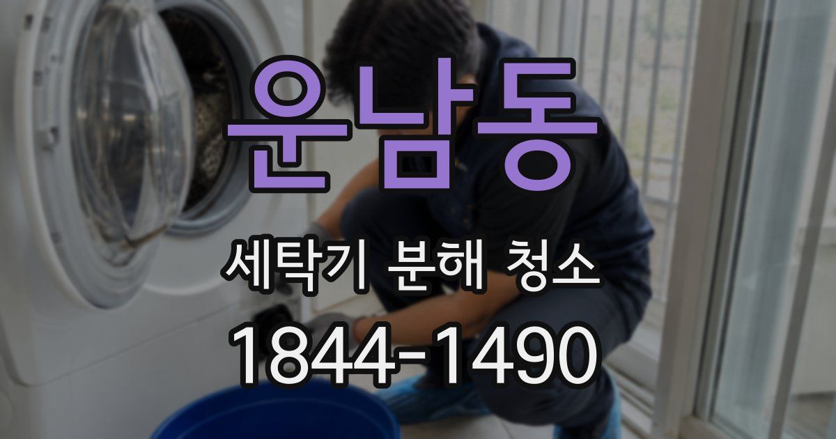 운남동 세탁기 분해 청소