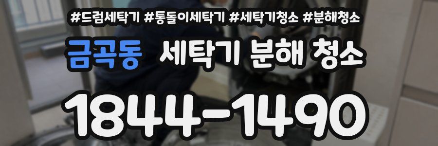 금곡동 세탁기 분해 청소