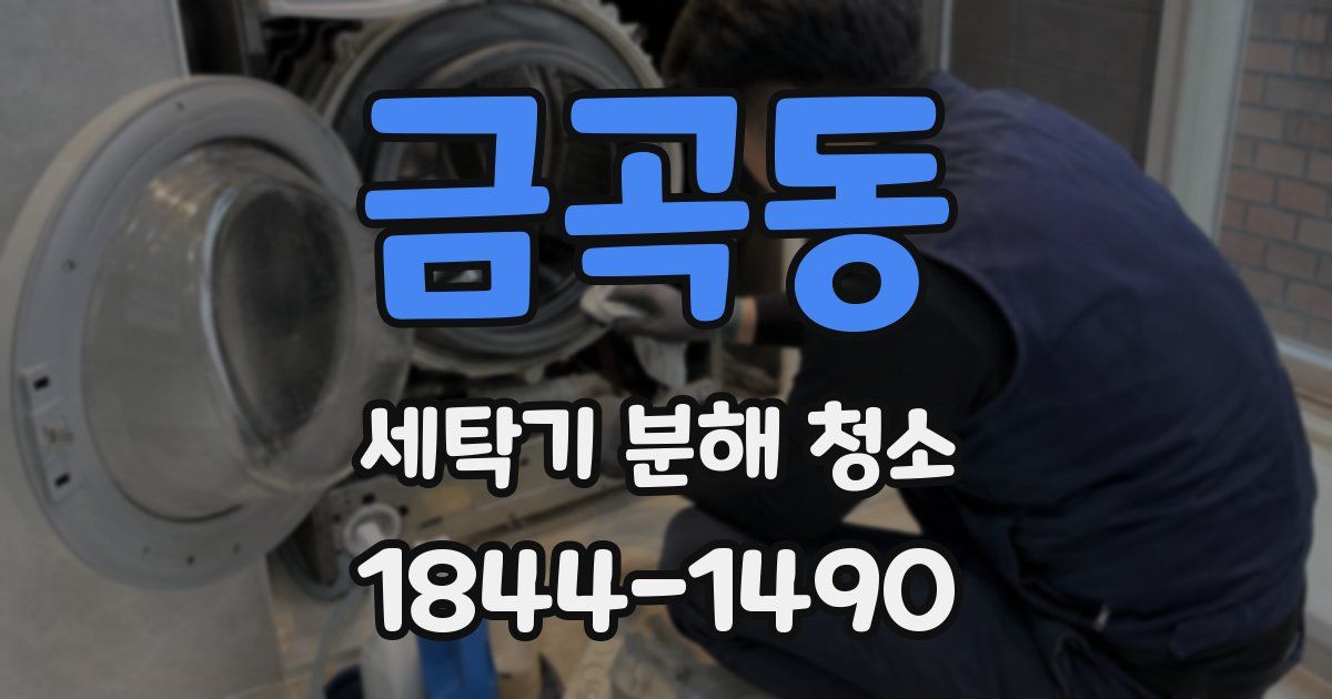 금곡동 세탁기 분해 청소